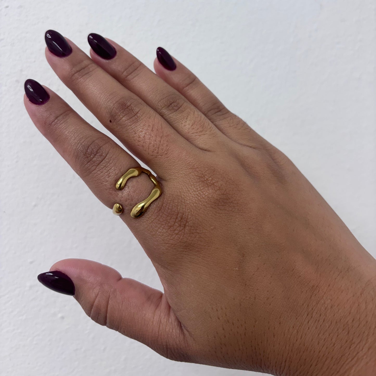 Anillo Línea Viva